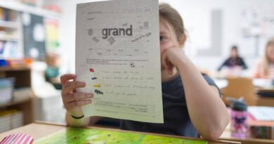 La Berne fédérale prête à durcir le ton contre l’affaiblissement de l’apprentissage du français par les cantons alémaniques - Le Temps