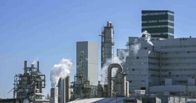 La Carbon Valley, le futur atout industriel de l'Europe  - Euractiv FR