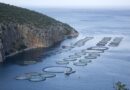 La Grèce renonce à un projet de pisciculture au nom de l’environnement - L'Humanité