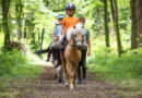 La Journée du cheval revient dans les clubs partout en France