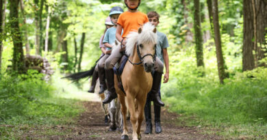La Journée du cheval revient dans les clubs partout en France