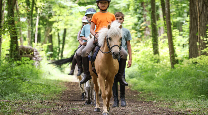 La Journée du cheval revient dans les clubs partout en France