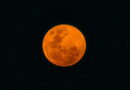 La Lune rouge se lève ce 7 septembre : où et quand observer l’éclipse totale