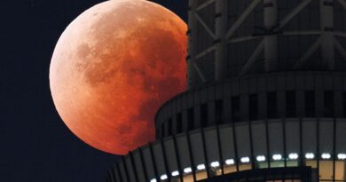 La Lune s’est habillée de sang cette nuit, avant la grande éclipse solaire de 2026 - RTBF Actus