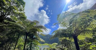 La Réunion : une matinée agréable avant un après-midi plus variable