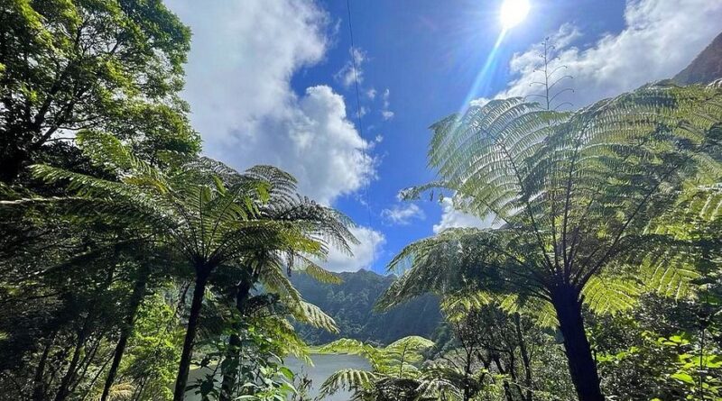 La Réunion : une matinée agréable avant un après-midi plus variable