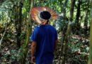 La Terre du 7 septembre : un peuple à l’écoute de la forêt amazonienne - RTBF Actus