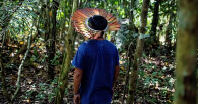 La Terre du 7 septembre : un peuple à l’écoute de la forêt amazonienne - RTBF Actus