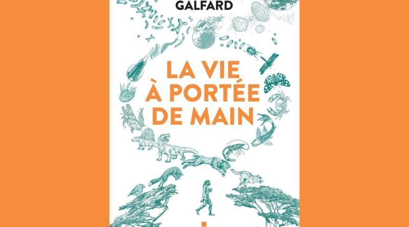 « La Vie à portée de main » : un voyage au cœur du vivant, depuis ses origines