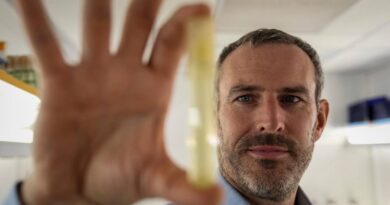 La bactérie «Prochlorococcus», «cheffe d’orchestre» des océans, est menacée par le réchauffement - Le Temps