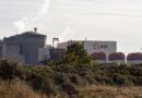 La centrale nucléaire de Gravelines est enfin débarrassée de ses méduses