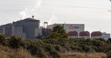 La centrale nucléaire de Gravelines est enfin débarrassée de ses méduses