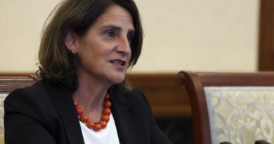 La commissaire européenne Teresa Ribera qualifie la situation à Gaza de 'génocide' - RTBF Actus