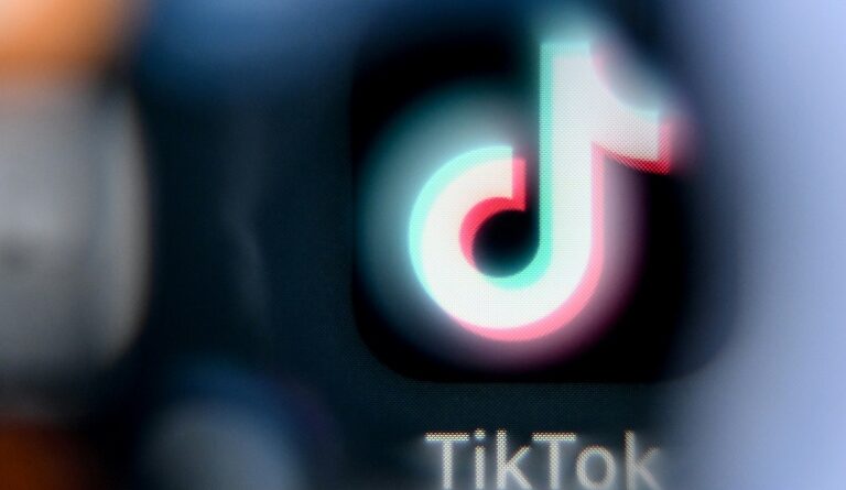 La commission TikTok préconise à son tour d'interdire les réseaux sociaux aux moins de 15 ans
