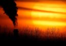 La décision de l'UE sur l'objectif climatique 2040 sera retardée, selon des diplomates