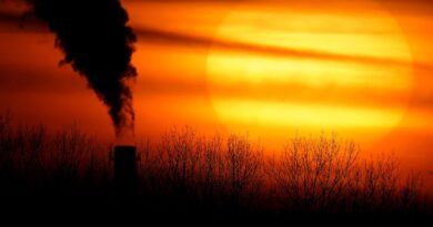 La décision de l'UE sur l'objectif climatique 2040 sera retardée, selon des diplomates