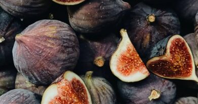 🍇 La figue corse : un fruit entre histoire, saveurs et légendes