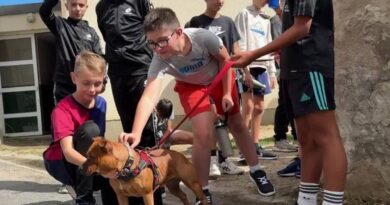 La jeune chienne Lux illumine le quotidien de ses camarades de classe pour la rentrée scolaire