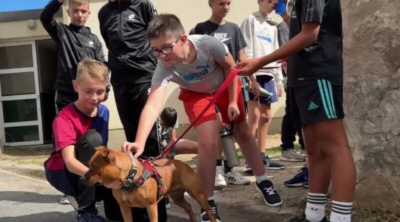 La jeune chienne Lux illumine le quotidien de ses camarades de classe pour la rentrée scolaire