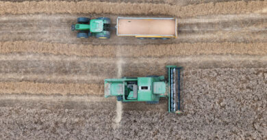 La justice française condamne l'État à revoir ses procédures d'autorisation des pesticides