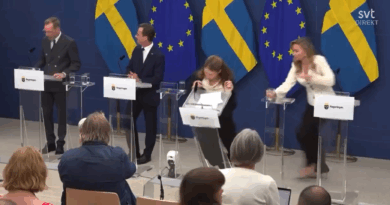 La nouvelle ministre de la Santé suédoise s’effondre en pleine conférence de presse