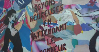 "La poésie, c'est la vie, c'est pas juste de la littérature" : Miss.Tic, papesse du street art, s'expose
