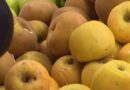 La pomme de Savoie revisite la cuisine salée avec Yvan