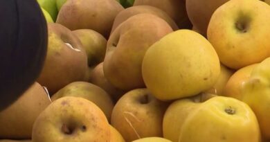 La pomme de Savoie revisite la cuisine salée avec Yvan