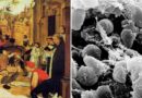 La première pandémie de l'histoire : l'origine d'une épidémie vieille de 1 500 ans révélée grâce à l'ADN