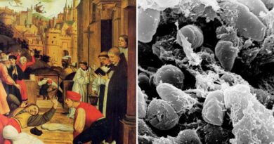 La première pandémie de l'histoire : l'origine d'une épidémie vieille de 1 500 ans révélée grâce à l'ADN