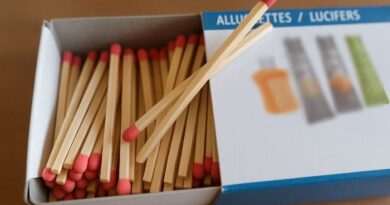 La sexagénaire pyromane condamnée après une série de feux à Eu