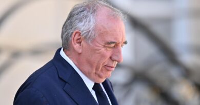 La toute dernière décision de Bayrou avant sa chute ne concernait pas le budget