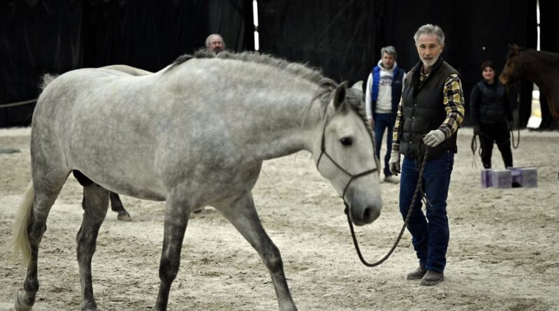 La troupe du Ménil Saint-Michel lance sa propre académie équestre
