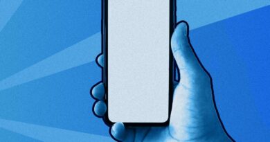 « L’accès à la pornographie est une atteinte grave à la santé mentale et à l’intégrité psychique des enfants »