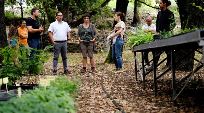 "L’agriculture de proximité est aussi importante que les entreprises" : un partenariat pour soutenir les agriculteurs du Bassin vient d’être signé