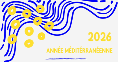 Lancement de l’appel à projets pour l’Année Méditerranéenne 2026 - ROUBAIXXL