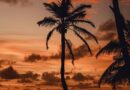 Guadeloupe, Basse-Terre, Pointe-à-Pitre, volcano, beach, palm, waterfall, Creole, island