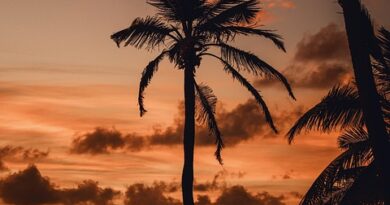 Guadeloupe, Basse-Terre, Pointe-à-Pitre, volcano, beach, palm, waterfall, Creole, island