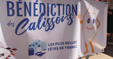 Lavande, calissons, bergers... : ce patrimoine de Provence qui intéresse le milliardaire ultraconservateur Pierre-Edouard Stérin