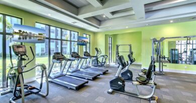 sport, sports, athlete, athletics, training, exercise, workout, fitness, gym