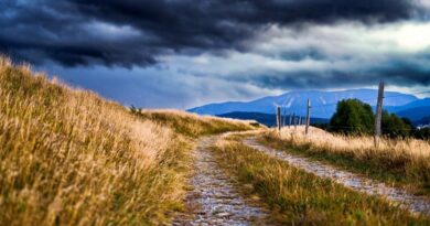 Le Gard placé en vigilance jaune pour des orages ce lundi 8 septembre : quel temps prévu le reste de la semaine prochaine ?