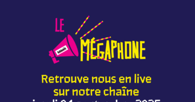 Le Mégaphone, émission Twitch le 4 septembre : nos lignes SNCF sont vitales, moins de routes, plus de trains ! - PJC - Alliance écologique et sociale