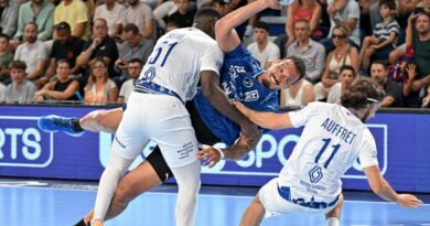 Le Montpellier Handball fait respecter la logique face au promu dijonnais  - ici