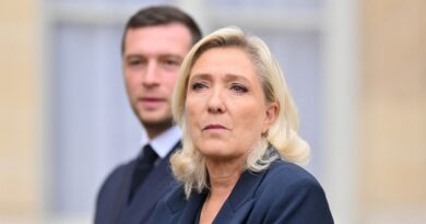 Le Rassemblement national devient le premier bénéficiaire de l'aide publique aux partis en 2025 et va percevoir près de 15 millions d'euros