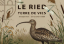 Le Ried, terre de vies - du 28 septembre au 23 novembre - Erstein