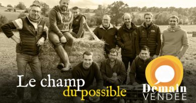 Le champ du possible, des légumes bio de plein champ en direct des fermes du bocage