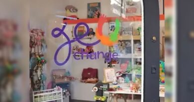 Le collectif "Jeu change" agit pour une économie circulaire du jouet - ici