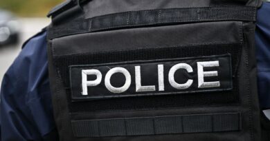 Le groupe de hooligans Strasbourg Offender dissous par le gouvernement - ici