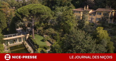 Le jardin Serre de la Madone à Menton sauvé ? 3 millions d'euros pour réveiller l’un des trésors secrets et émouvants de la Côte d’Azur