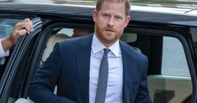 Le prince Harry de retour en Angleterre : William et Charles III garderaient leurs distances